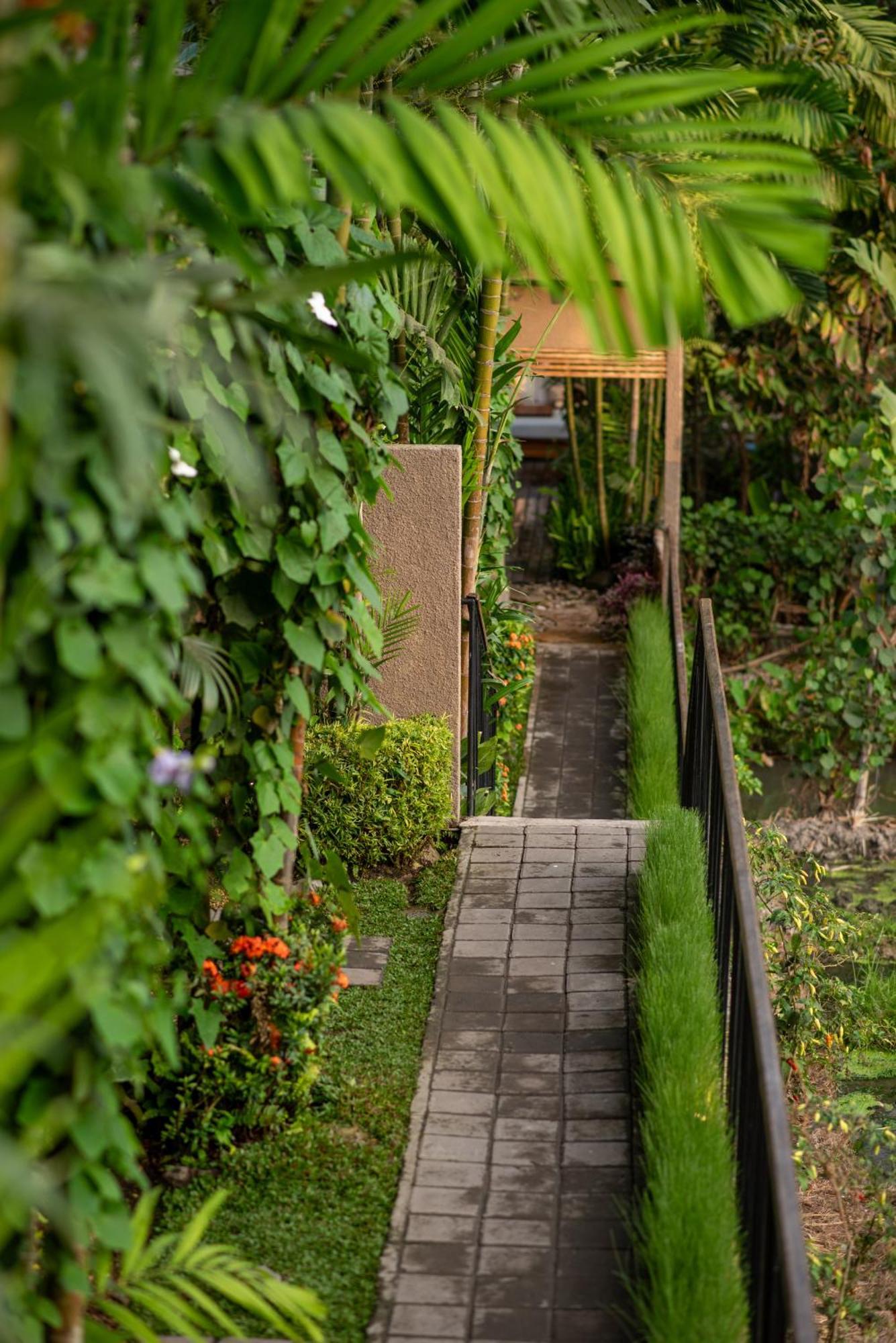 Pangkung Sari Bed&Breakfast Canggu Exterior foto