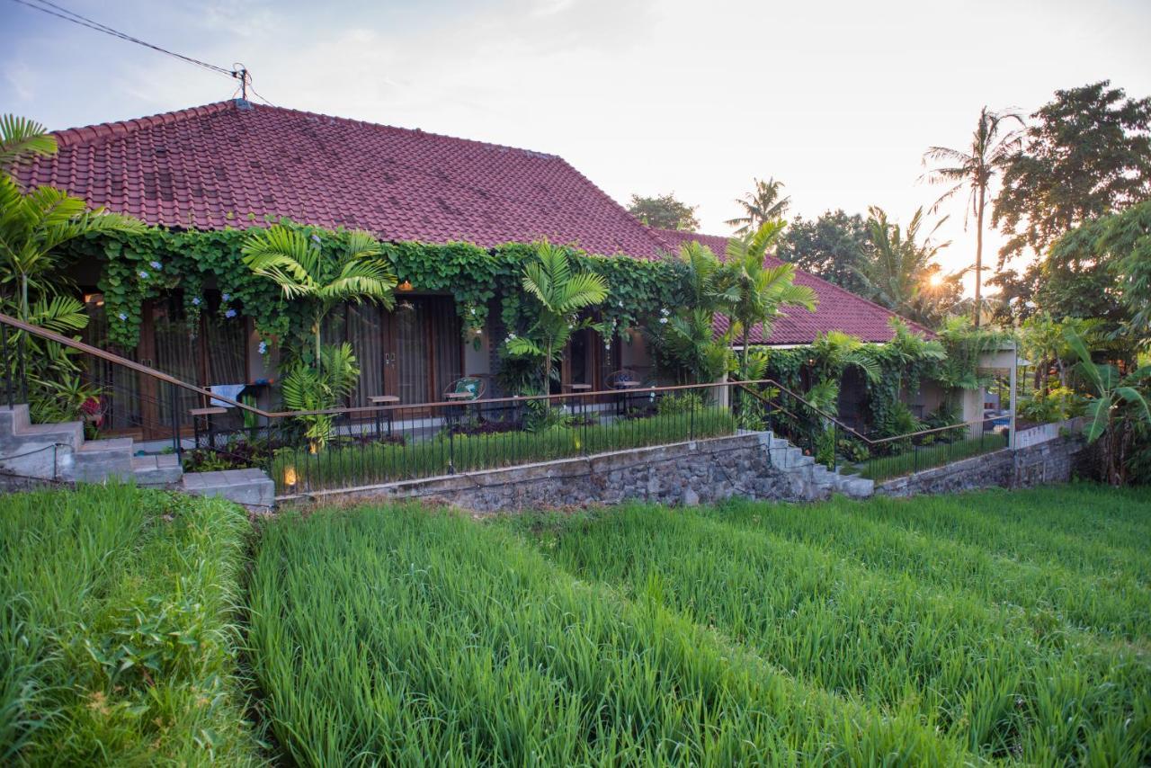 Pangkung Sari Bed&Breakfast Canggu Exterior foto